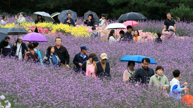 연휴 내내 비왔는데…심상치 않은 다음 주 '날씨 소식' 전해졌다