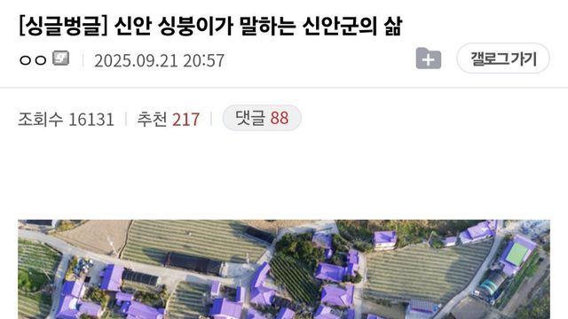 신안 사는 디시인이 말해주는 신안의 따뜻한 삶