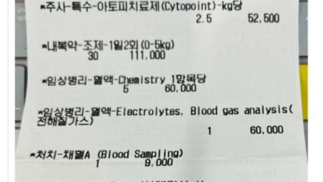 애견 키우다가 유기하는 가장 큰 이유 중 하나