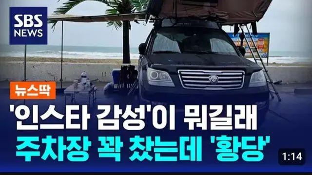 '한국 사람들 맞아?' 캠핑족 논란