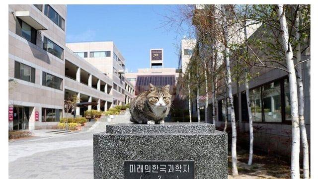 포항공대에서 거론되고 있는 한국 노벨상 후보