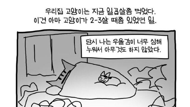 고양이가 사람 구한 이야기.manhwa