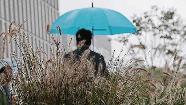 충북 대체로 흐리고 비…예상강수량 5㎜ 내외