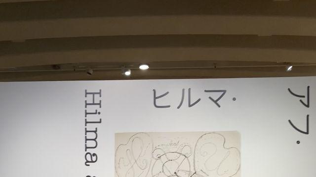 양문학 부도칸 후기