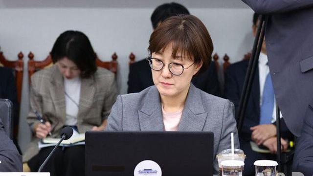 민주 '野 김현지 국감 출석 요구'에 