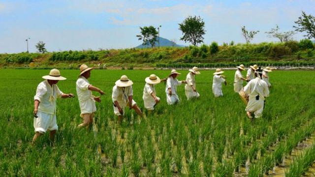 용인특례시, '백암농요' 향토무형유산 제5호 지정