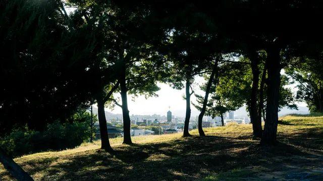 불로동 고분군