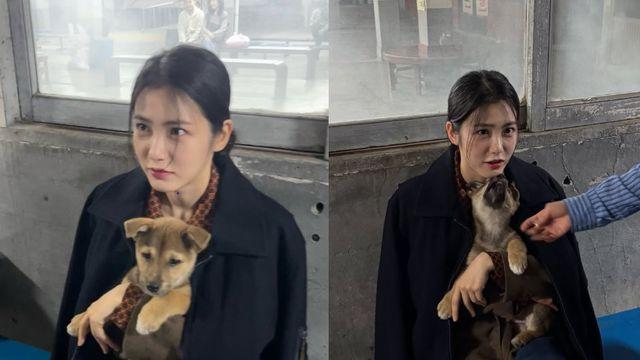 신예은, 자신과 똑 닮은 강아지 안고 '활짝'…