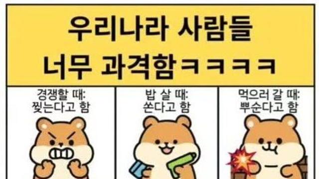 과격한 한국인의 표현