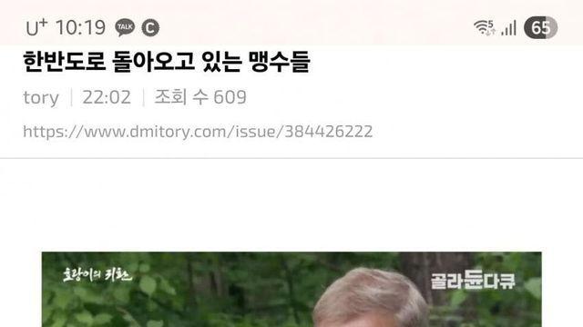 한반도로 돌아오고 있는 맹수들