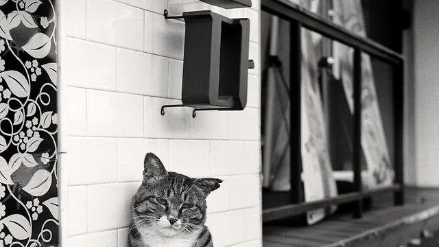 나도 HP5+