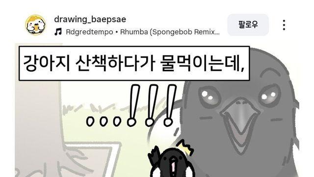 강아지 산책시키다가 물 먹이는데