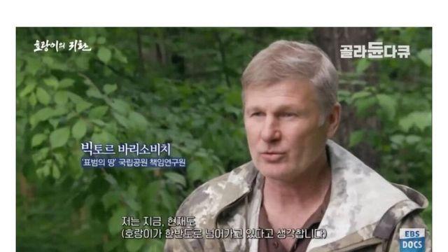 한반도로 넘어오고 있다는 호랑이들