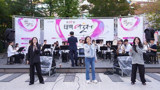 제37회 태백예술제 공연