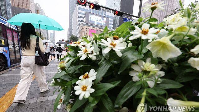 [날씨] 전국 흐리고 비…강원 영동 시간당 20㎜도