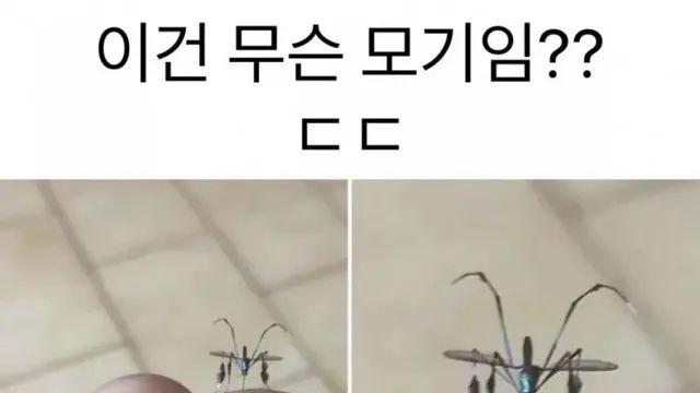 은근 신기하게 생겼다는 일렉트로닉 모기,,