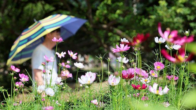 '보성 30.2도'…전남 일부 지역서 10월 일 최고기온 경신