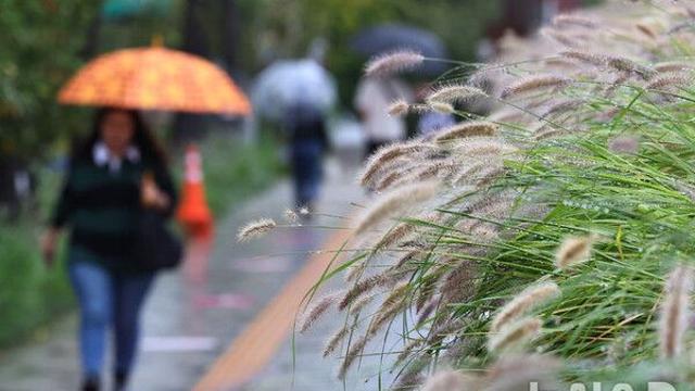전북, 장마전선 영향으로 흐리고 비…내일까지 20~70㎜