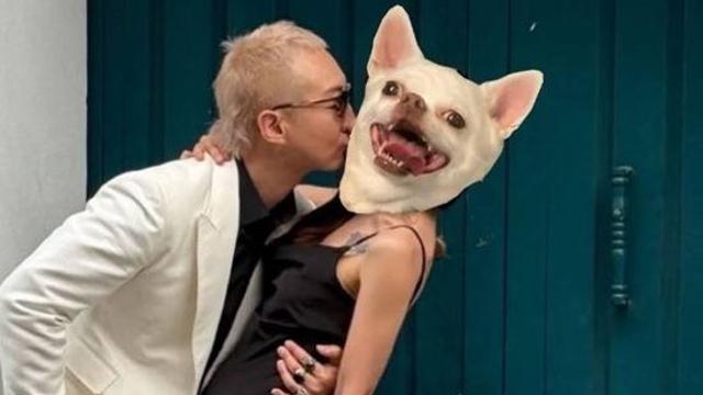 노브레인 이성우 오늘 결혼 