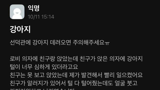 학교에 개 데려오면 생기는 일