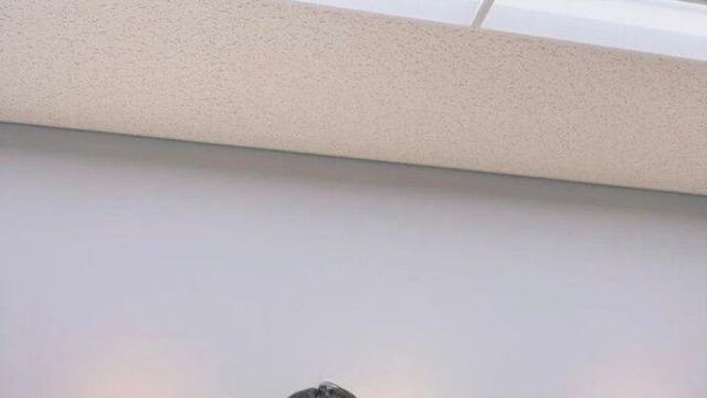 성시경 