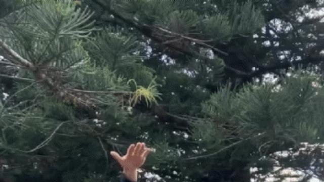 발차기 하나는 자신 있다는 여친