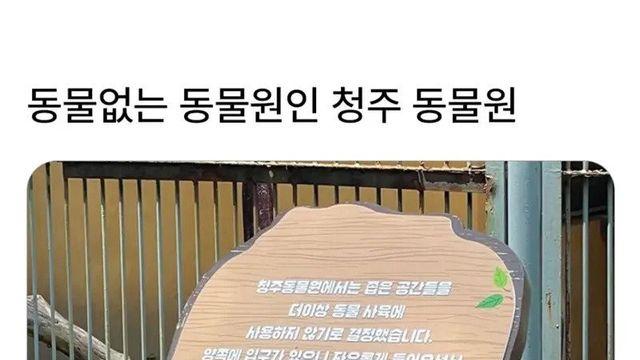 동물 없는 동물원이라는 청주 동물원 근황