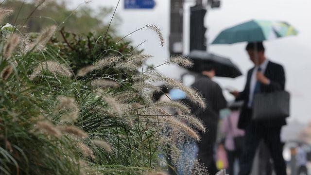 [내일날씨] 전국에 가을비 계속…낮 최고 18∼25도