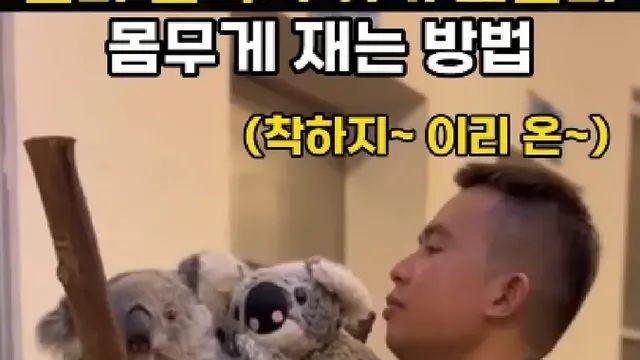 아기 코알라 몸무게 재는 법.mp4,,
