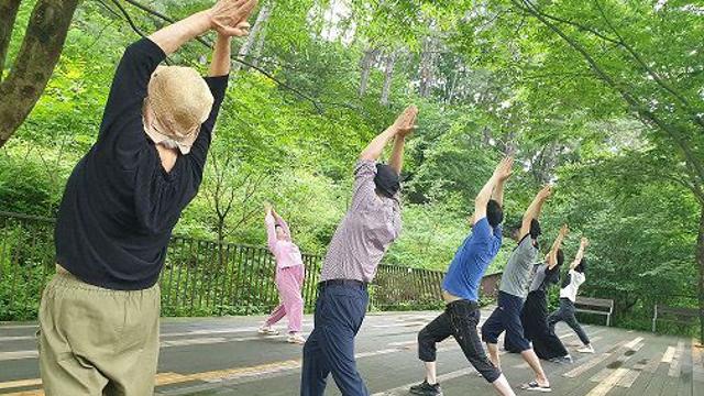 파주시, 구절초와 함께하는‘율곡큐어캠프’ 개최