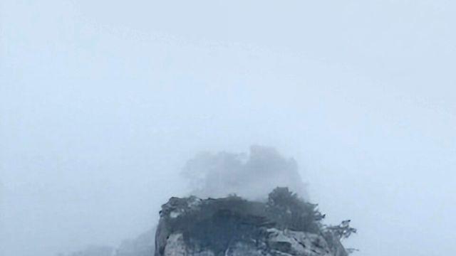 [보감과의 동행145] 878에내린비도쓰다