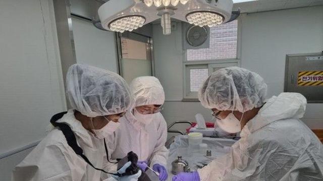 경기도, 동물 학대 사전 예방 위한 '수의법의학센터' 설립