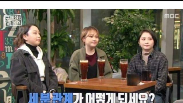 한국 현실판 이브이 세쌍둥이