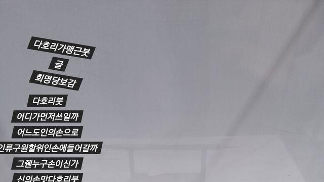 [보감과의 동행144]  다호리가맹근붓