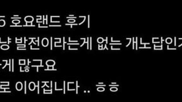 호요랜드 2025 장문의 비판글이에요