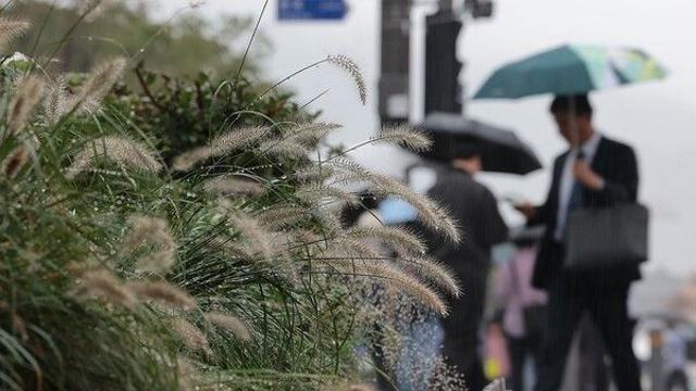 [날씨] 오늘도 전국에 가을비 계속…낮 최고 18∼25도