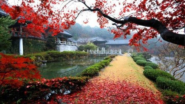 통도사의 고요함과 강변의 여유, 양산에서 즐기는 하루 여행