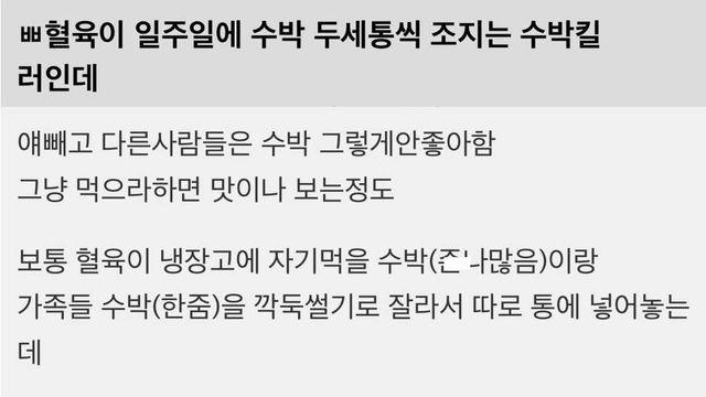 수박에 미친 수박킬러 혈육