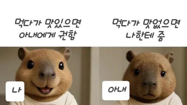 남편과 아내의 차이,,