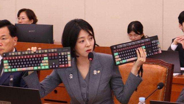 국감장에 등장한 '케데헌 호랑이'…野배현진 