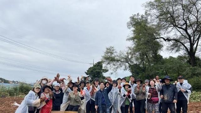 오산시 대원2동 통장협의회, '사랑의 고구마 수확' 봉사활동 전개