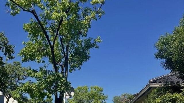 조윤희, 딸 로아와 일본 후쿠오카 여행 공개…커플룩 맞춰 입고 '붕어빵 모녀' 훈훈한 근황