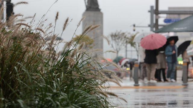 '가을 비' 언제까지 오나…당황스러운 이번 주 날씨 소식 전해졌다
