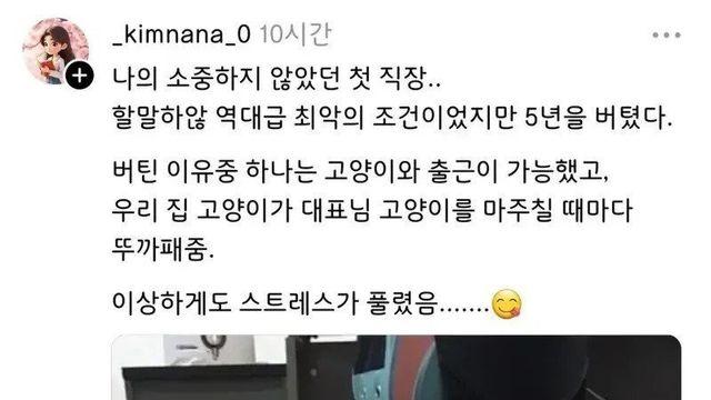 최악의 직장에서 5년이나 버틸 수 있었던 이유
