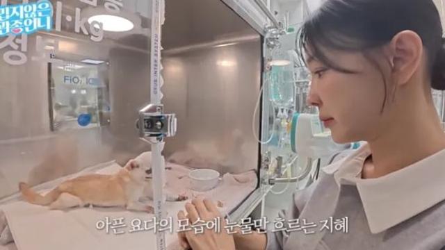 이지혜, 반려견 시한부 선고 안타까운 소식 전해