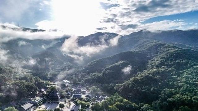[여행honey] '엄뫼' 모악산이 품은 금산사