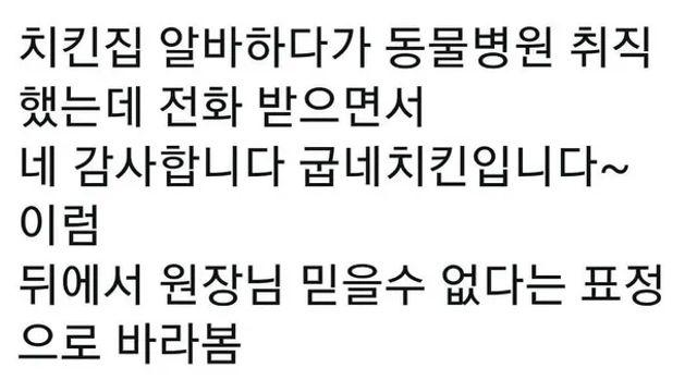치킨집 알바하다 동물병원 취직함,,