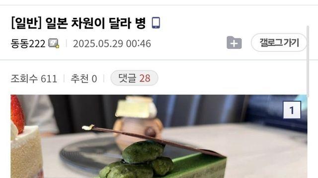 일본은 차원이 달라 병.