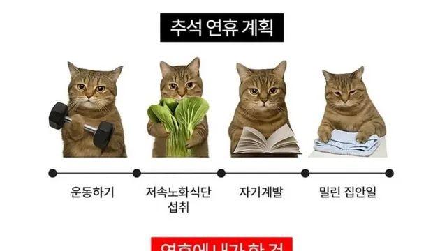 추석연휴 계획과 현실,,