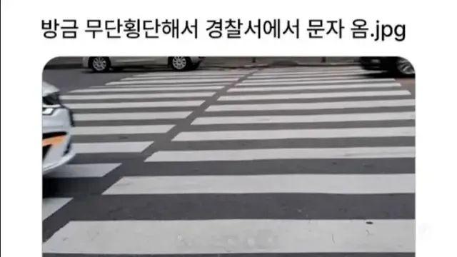나쁘지만 착한 대학생들…,,